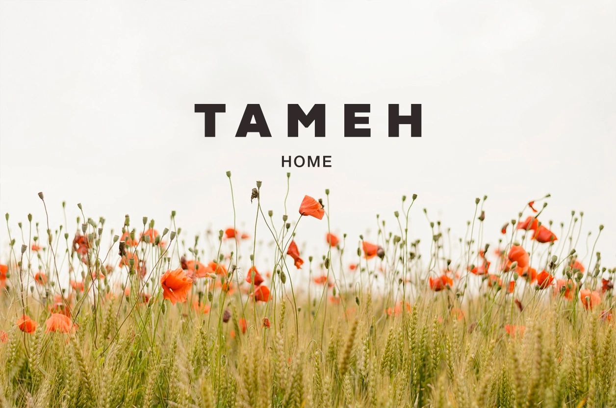 TAMEH 01